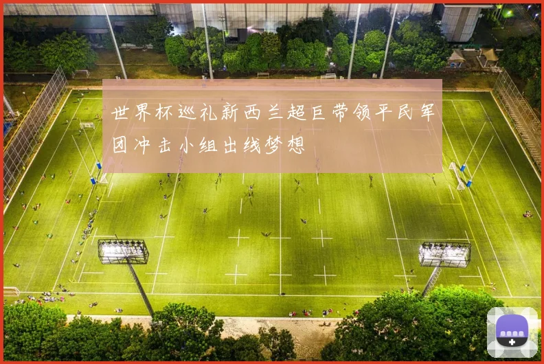 世界杯巡礼新西兰超巨带领平民军团冲击小组出线梦想