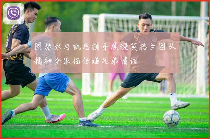 图赫尔与凯恩携手展现英格兰团队精神全家福传递兄弟情谊